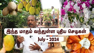 🌱ஜூலை மாதம் வந்துள்ள பூ மற்றும் பழ செடிகள்  July Restocking with Popular Floral amp Fruit Plants🌳 [upl. by Derej]