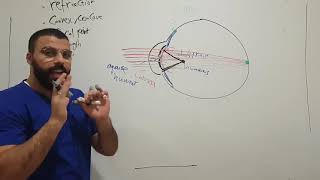 physiology of vision  accommodation of lenses  part 2 [upl. by Florri369]