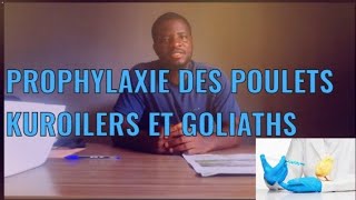 PROPHYLAXIE MÉDICALE DES POULETS KUROILERS ET GOLIATHS [upl. by Medeah]