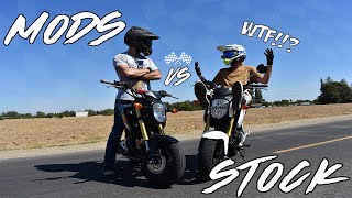 Honda Grom Speed  Stock VS Modded [upl. by Zsolway]