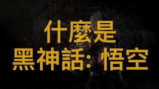 黑神話 悟空 點解咁多人講 有乜嘢新聞價值 做乜咁多人評論 仲有好多外國haters 中國第一隻AAA 遊戲 [upl. by Akinert50]