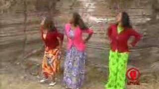 Ethiopian Music  Taddalaa Gammachuu  Raada Raadaa [upl. by Maxy]