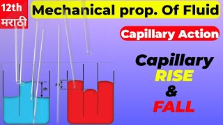 Capillary Action capillaries capillaryaction [upl. by Zeke774]