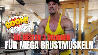 Die besten 3 Brustübungen für mega Brustmuskeln [upl. by Tletski670]