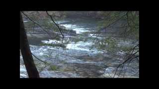 Chattooga River Trail Hike  Hwy 76  GA 12313 [upl. by Gow]