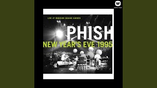 Auld Lang Syne Live at Madison Square Garden New Years Eve 1995 [upl. by Hullda216]