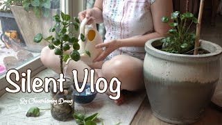 Silent Vlog  Propagate Plant  Slow Living [upl. by Eerrehs]