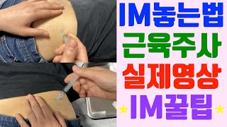 IM주사  근육주사  im주사 실제영상  im주사위치  근육주사 놓는법  im주사놓는법 [upl. by Esemaj155]