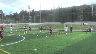 Entrenamiento de Fútbol Juvenil  Coordinación  Espacio reducido  Técnica y Velocidad [upl. by Enihpets499]