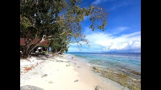 Snorkeling at the beach of Amoryg Resort Raja Ampat [upl. by Aicenad386]