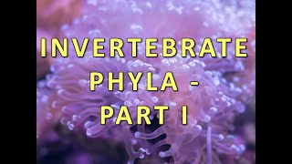 Invertebrate Phyla  Part I [upl. by Melisa]