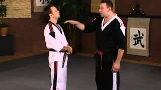 Volume 6 Advanced Pressure Point Fighting Strategies part 4 [upl. by Arahsak]