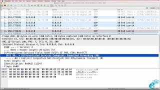 GNS3 Talks Ostinato Wireshark Captures Part 4 Generate packets with COS and DSCP settings [upl. by Lanuk]