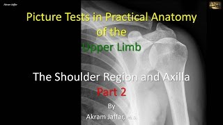 Picture tests in upper limb anatomy shoulder region and axilla 2 [upl. by Lanette]