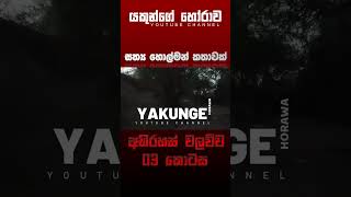 අභිරහස් වලව්ව 03 කොටස  sinhala holman katha sinhalaholmankatha horrortok viral foryou [upl. by Yatnuhs975]