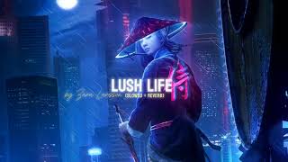 Lush Life  SlowedReverb [upl. by Ehc840]