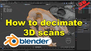 Blender How to Decimate 3D Scans To a Lowered Poly Count [upl. by Wein]