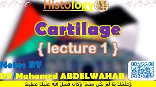 Cartilage 1  Histology  دعبدالوهاب [upl. by Etac]