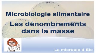 MICROBIOLOGIE ALIMENTAIRE  Dénombrement dans la masse [upl. by Robbin]