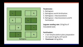 Ecosystem Services of Overseeding Aeschynomene into Bahiagrass Pastures in Florida with Jaime Garzon [upl. by Nosae876]