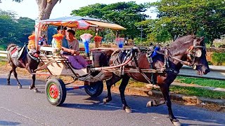 KOMPILASI LAGU NAIK DELMAN PELANGI PELANGIRAHMATUN LIL ALAMEEN SOLAWAT MABRUK [upl. by Lyrem]