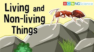 What Are Living and Nonliving Things [upl. by Kore]