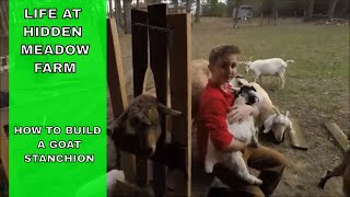 HOW TO BUILD A GOAT STANCHION  DIY HEADGATE FOR SMALL LIVESTOCK [upl. by Linea]