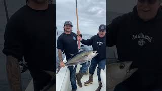 Solid plunker bite on some solid Bluefin Tuna at San Clemente island [upl. by Yecies]