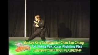 Grandmaster Chan Sau Chungs Monkey Fist [upl. by Lampert]