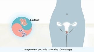 Infekcję drożdżakową pochwy  Przyczyny i leczenie [upl. by Lynnette585]