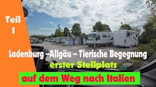 Vlog1  Anreise nach Italien Stellplatz in Ladenburg und eine Tierische Begegnung im Allgäu [upl. by Scarrow342]