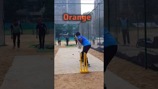 FUN🥰 Batting Drills  cricket practice Batting Drills cricket crickettechnique cricketlovers [upl. by Tades383]