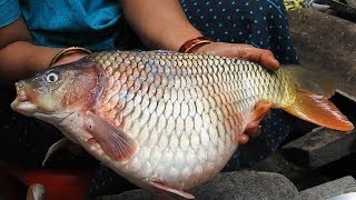 Fish Eggs Gravy Recipe Corp Fish Eggs Masala Stew Fish Egg Spicy Fry Recipes  Machli Wala [upl. by Ecirb]