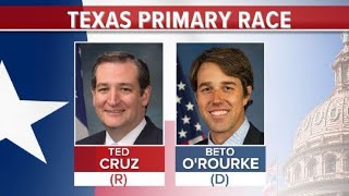 What the Texas primaries mean for US midterms [upl. by Treboh]