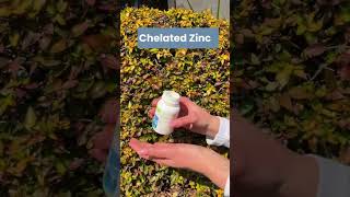 Discover Good Health With Chelated Zinc shorts health wellness [upl. by Fatima]