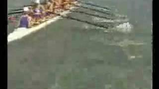 Funniest Crew Crash EVER  St Ignatius Stop Rowing [upl. by Aiciruam514]