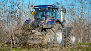 Steyr Terrus 6270 CVT quotBlue Powerquot  Fresa Forestale FAE [upl. by Nicolau174]