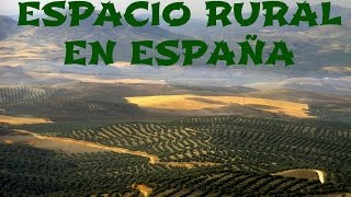 Espacio rural y actividad agraria en España  Geografía de España [upl. by Alethea638]