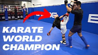 Pro MMA Fighter vs Karate World Champion Breakdown [upl. by Knowland]