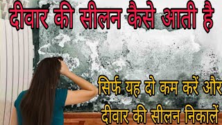 दीवार सीलन कैसे रोकें यह दो कम करेंऔर दीवार की सीलन निकाले how to Repair dampness wall waterproofing [upl. by Vada337]