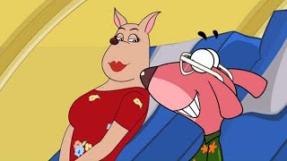 RatATat  Chotoonz Kids Cartoon Videos Lover Don [upl. by Lydia]