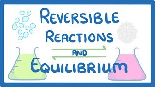 Chemical Equilibria and Reaction Quotients [upl. by Ronda]