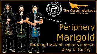 The Guitar Workout  Periphery  Marigold Drop D Tuning [upl. by Theurer]