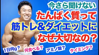 【たんぱく質】そもそも筋トレ、ダイエット減量になぜそんなに大切なのか？量はどれくらい必要？何を食べるのか？アミノ酸って何？などなどを解説致します。 [upl. by Yren291]