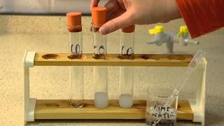 Gas Tests The Tests for Carbon Dioxide Oxygen and Hydrogen [upl. by Eirallih]