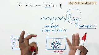 QWhat are micelles or associated colloids Class  12 Surface chemistry [upl. by Orna631]