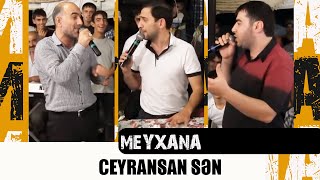 CEYRANSAN SEN  Super Muzukalni  Elshen XEZERPerviz BULBULEResad DAGLI  MEYXANA [upl. by Otrebliw25]