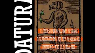 Datura  Yerba Del Diablo Part II Remix Ariki [upl. by Aliac]