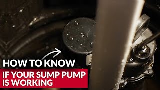 How To Know If Your Sump Pump Is Working  Ace Hardware [upl. by Swetlana]