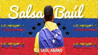 Vivo Amándote Salsa Baúl Para Venezolanos Mix [upl. by Ahsyekal]